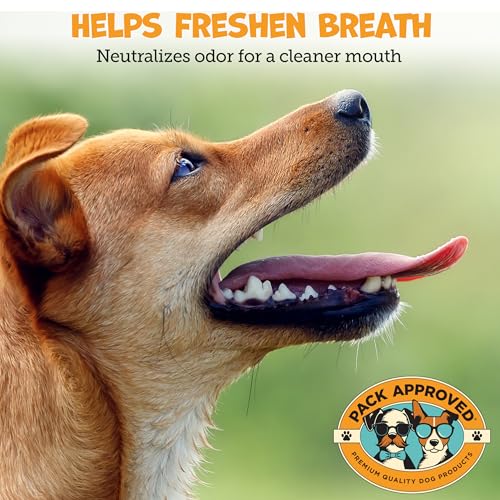 Dental Wipes for Dogs