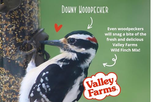 Wild Finch Mix