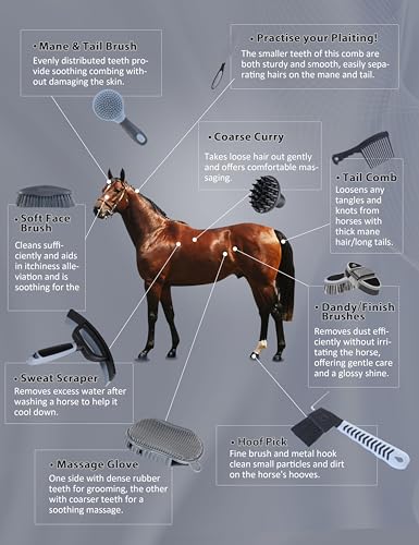 Horse Grooming Kit (Black)