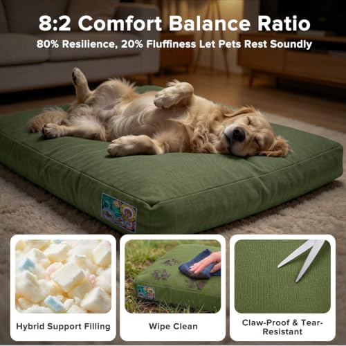 Chew Proof Indestructible Dog Bed for Large Dogs (Green / XL(42"x30"x4"))