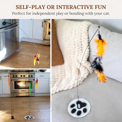 Cat Toys for Indoor Cats (Meow Motion Bundle)