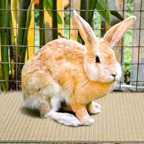2Pcs Rabbit Scratch Mat