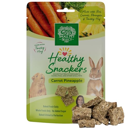 Healthy Snackers (2 Ounce (Pack of 1))