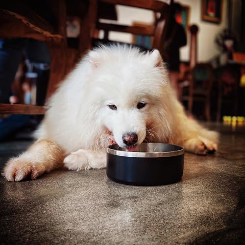 Dog Bowl for Food and Water (40 Ounces / Black)