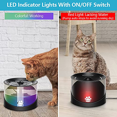 Cat Water Fountain (Black)