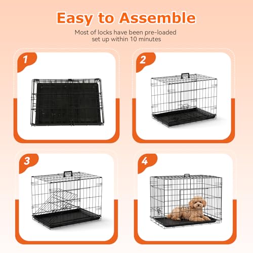 24" Foldable Metal Dog Crate (Black)