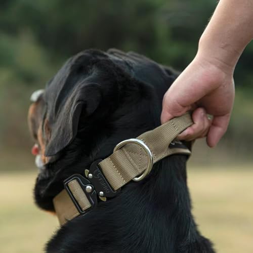 Tactical Dog Collar (Basic Green - Handle Style / L: Neck 17.5" to 24.5")