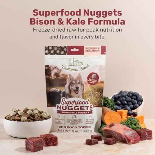 Superfood Nuggets (8 Ounce (Pack of 1))