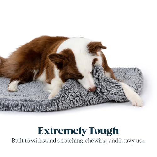 Stoutwool Indestructible Dog Bed (53.0"L x 35.0"W x 2"Th / Charcoal)