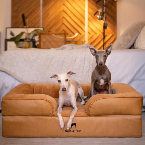 Dog Bed Orthopedic Memory Cooling Foam (Camel - LE / Large)