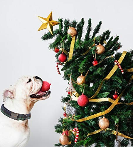 Christmas Dog and Cat Collar with Bow Pet Gift Adjustable Soft and Comfy Bowtie Collars for Small Medium Large Dogs (X-Small / green plaid)