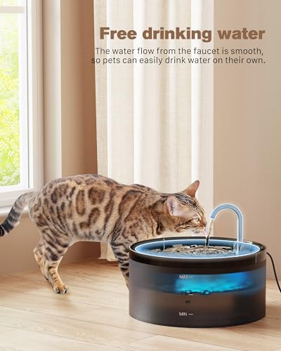 Black Cat Water Fountain