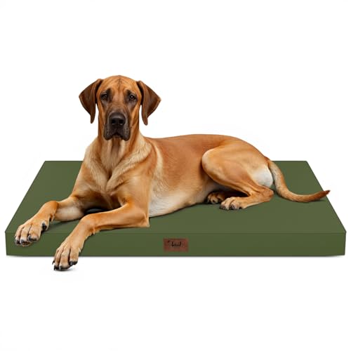 Jumbo Waterproof Orthopedic Dog Bed for Extra Large Dogs (Amy Green / 53.0"L x 36.0"W x 4.0"Th)