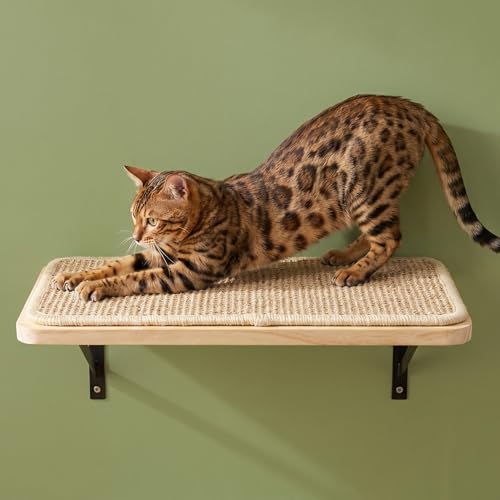 Cat Floating Wall Shelf with Scratching Mat