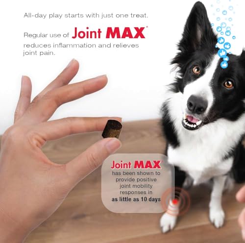 TS Joint Supplement Vet Formulated Pain & Inflammation Relief Treats Hip Dysplasia & Arthritis.Glucosamine (240 Soft Chews)