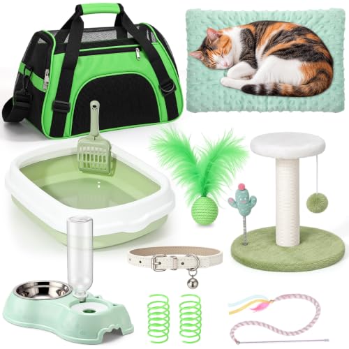 10 Pcs Kitten Starter Kit for Indoor (Classic / Medium / Green White)