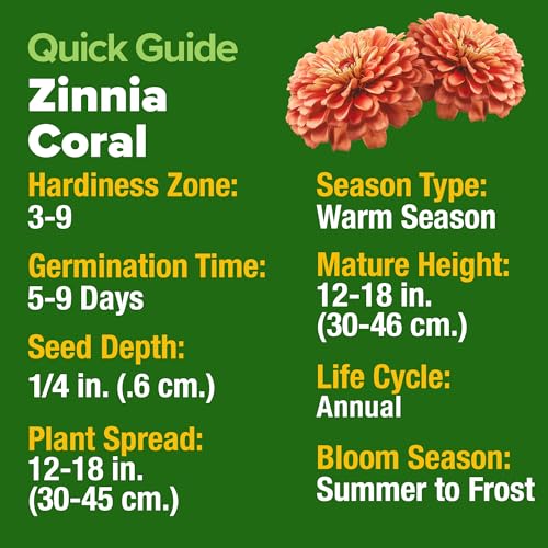 Zinnia Seeds Coral