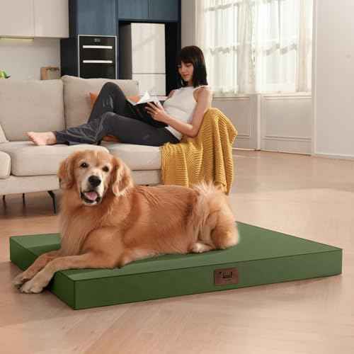 Waterproof Orthopedic Dog Crate Bed for Small Dogs & Cats (Amy Green / 23.0"L x 17.0"W x 2.5"Th)