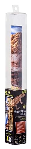 05420 Temple Terrarium Cling