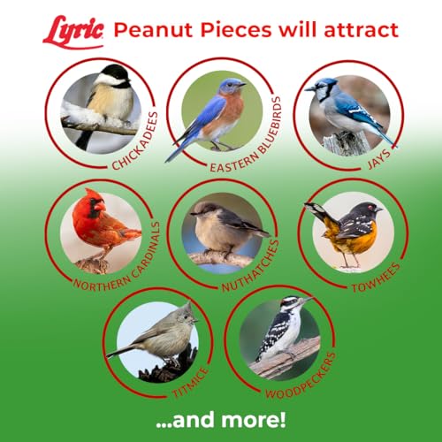 Peanut Pieces Wild Bird Seed (1 Count (Pack of 2))