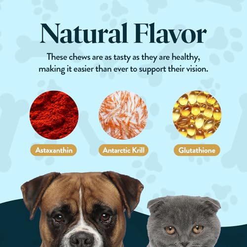 Vision Chews Eye Supplements for Dogs & Cats (60 Chews – Jar)
