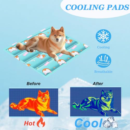 Cooling Dog Bed (Green Puppy / 20''*16'' Small)