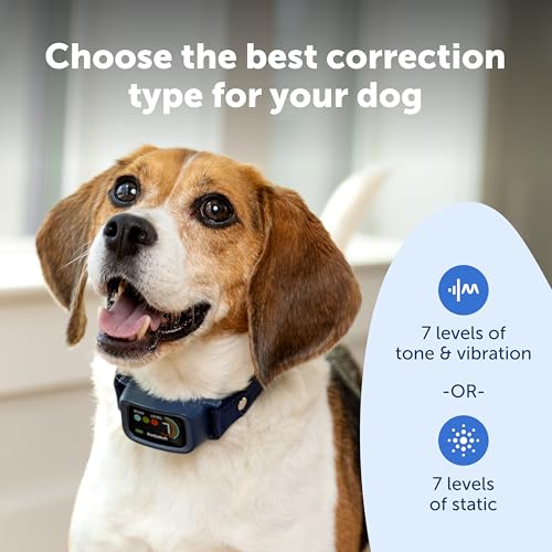 Core Digital Dog Bark Collar (Small, Medium, Large)