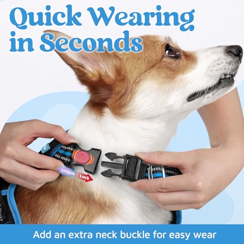 Dog Harness for Large (Black & Blue / Large)