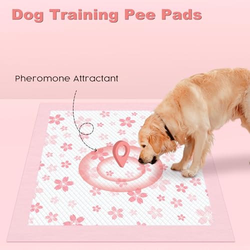 Pink Puppy Pads with Adhesive Tabs Disposable Pee Pads 36x36in 30Ct (36x36in | 30Ct-Pink)