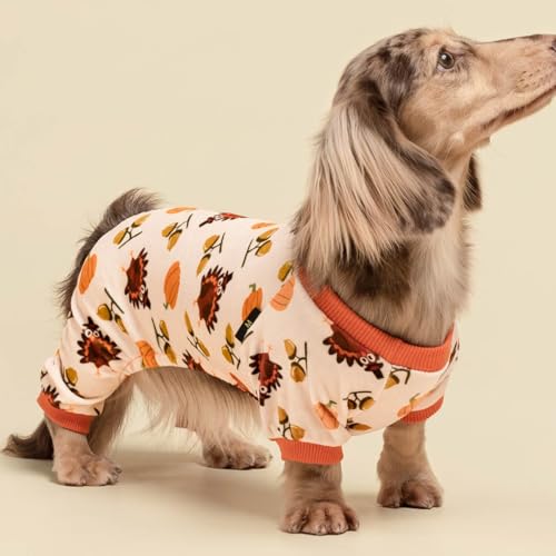 Thanksgiving Turkey Dog Pajamas (Turkey / X-Large)