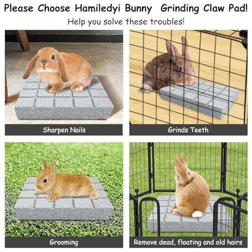 2PCS Rabbit Scratching Pads Bunny Lava Grinding Claw Pads Small Animal Foot Pads Hamster Scratch Board Chew Toys for Gerbil Chinchilla Hedgehog Guinea Pig Cage Accessories