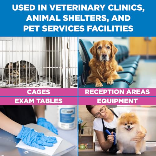 One Step Disinfectant Cleaner & Deodorizer Wipes for Vet Use (Bucket Refills (1 Pack) XL Wipes)