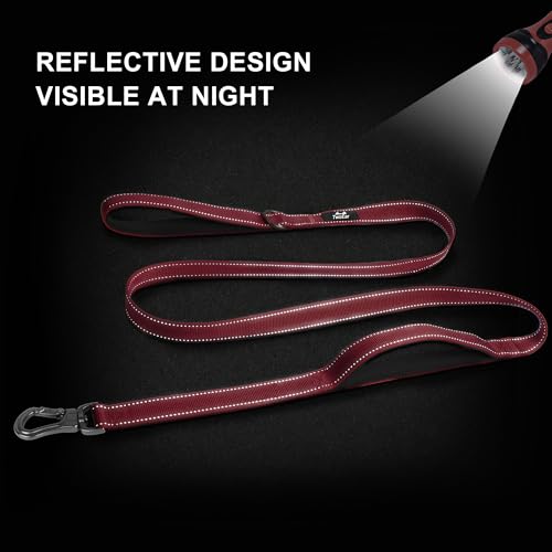 4FT 1IN Heavy Duty Dog Leash for Large Dogs with 2 Padded Handles (Red / 1 in x 4 ft)