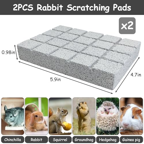 2PCS Rabbit Scratching Pads Bunny Lava Grinding Claw Pads Small Animal Foot Pads Hamster Scratch Board Chew Toys for Gerbil Chinchilla Hedgehog Guinea Pig Cage Accessories