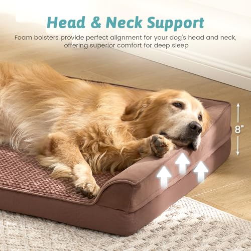 Orthopedic Dog Bed for Extra Large Dogs (Brown / XXL:48x35x8 inch)