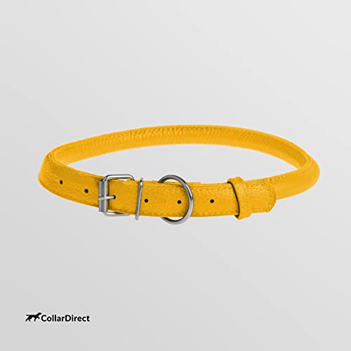 Tangle Free Rolled Leather Dog Collar (Yellow / XS)
