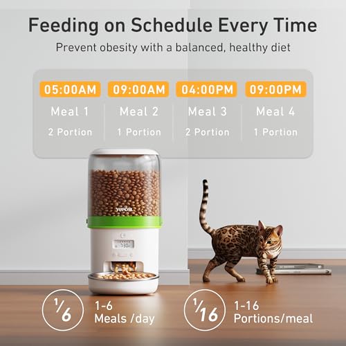 Automatic Cat Feeder (Transparent)