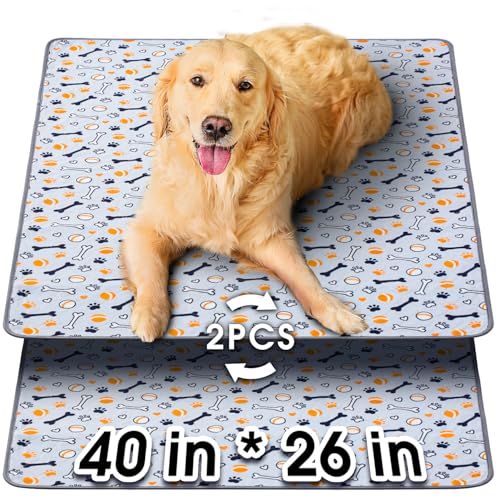 Washable Pee Pads for Dogs (Gray / 40 x 26")