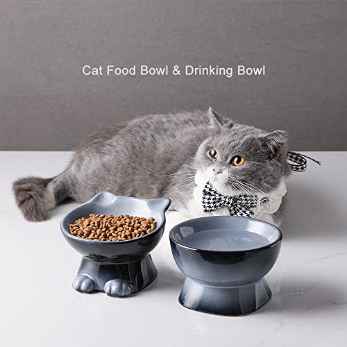 Elevated Cat Bowls (4.5 OZ / Gray)