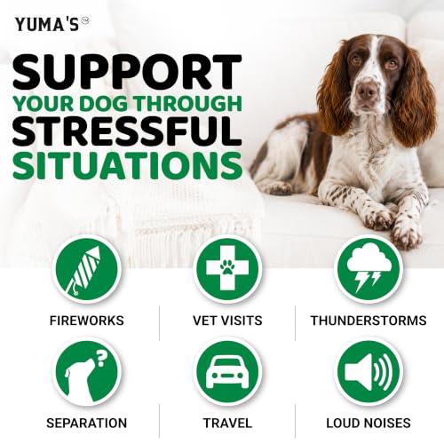 Hemp Calming Chews for Dogs (Calming Chews / 240 Chews)