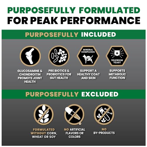 Performance Dry Dog Food (5 Pound (Pack of 1))