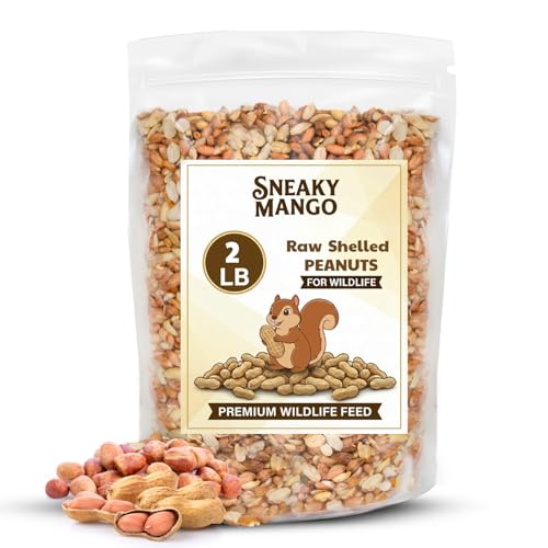 Raw Out of Shell Peanuts (2 Pound (Pack of 1))