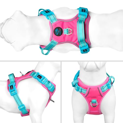 No Pull Dog Harness (Pink Base & Green Straps / Medium)