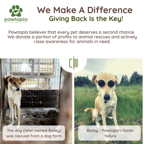 Biodegradable Dog Poop Bags (60 Count (Pack of 1) / Rolls only)