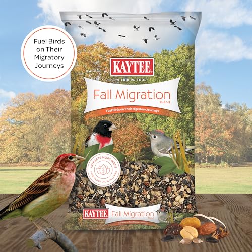 Wild Bird Food (Fall Migration)