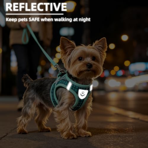 Dog Harness Collar and Leash Set No Pull for Small Medium Sized (Lake Green / XL (CHEST 20"-22"))