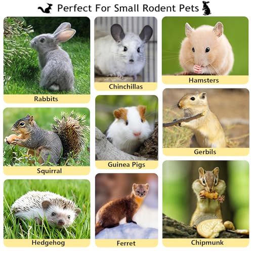 600g Organic Apple Sticks Small Animals Molar Wood Treats Toys for Chinchillas Guinea Pig Rabbits Hamster Gerbil Parrot Bunny Chew Stick Toys (1.33 Pound (Pack of 1))