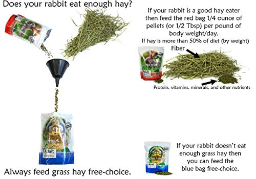 Adult Rabbit Food Professional 10 lbs (10 Pound (Pack of 1))