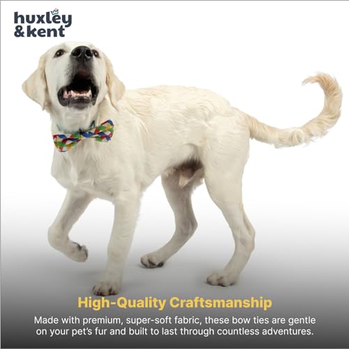 Pet Bow Tie for Dogs & Cats (Small)