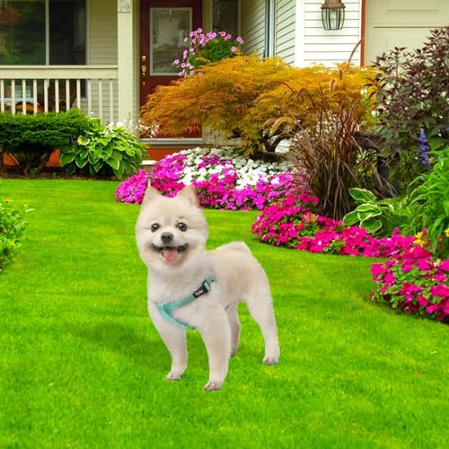 No Pull Dog Harness Medium Sized Step (Light Green / Medium)